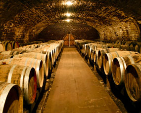 private-tours-wine-cellar.jpg
